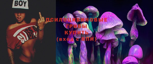 экстази Алексеевка