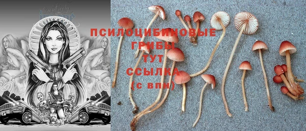соль ск Алзамай